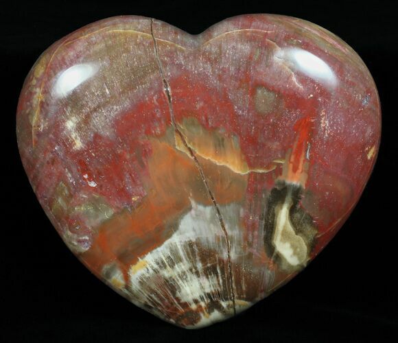 Bargain, Colorful, Polished Petrified Wood Heart #58533